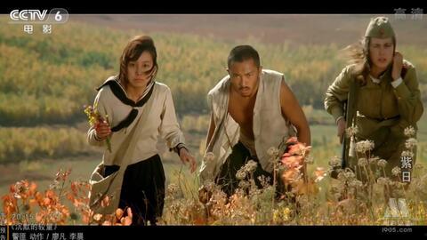 紫日电影在线观看,穿越时光的青春记忆